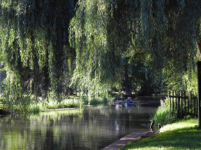 Apartments in Vetschau Spreewald 2618